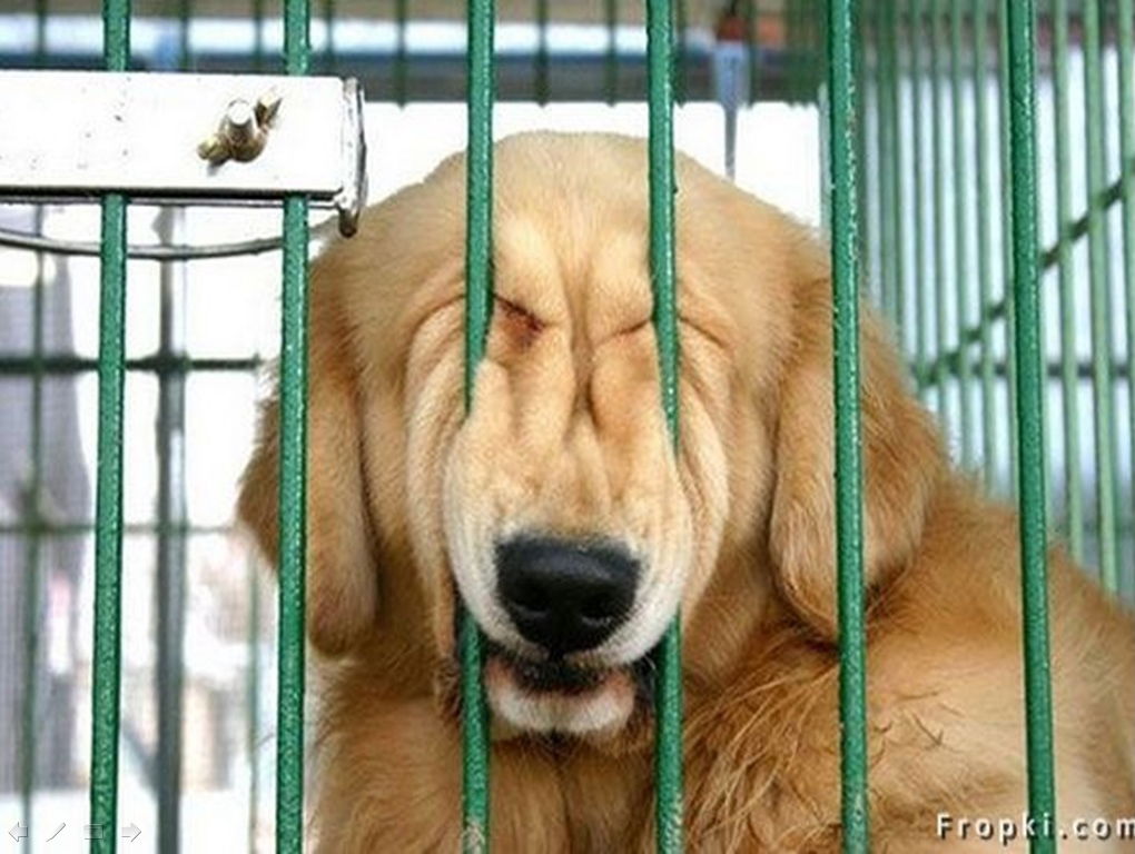 Федя Горбунов