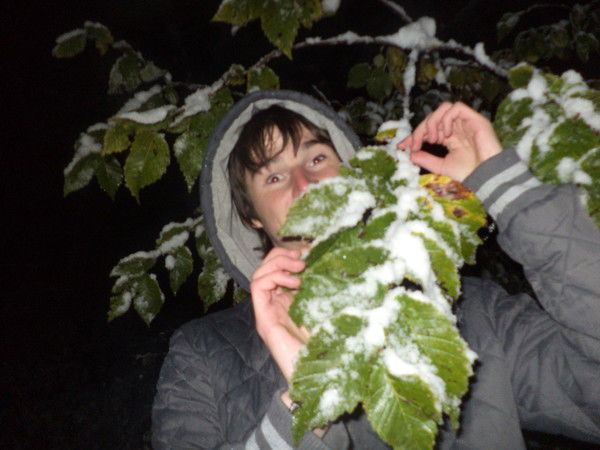 Dominiq Фельдман