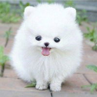 Гузель Закирова