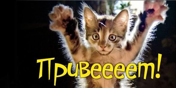 Ольга Владимировна