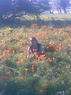 Светлана Куприянова