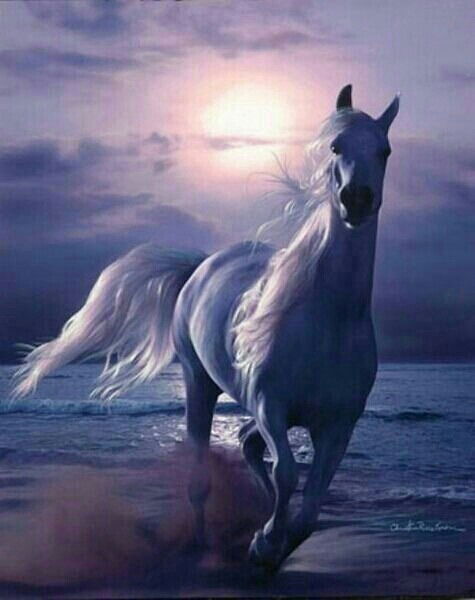 Нури Омурзакова