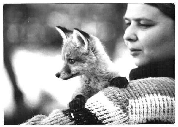 Ирина Шестакова