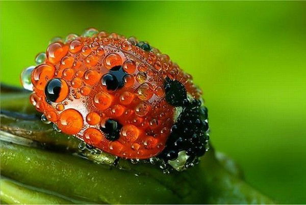 Татьяна Каблуковская