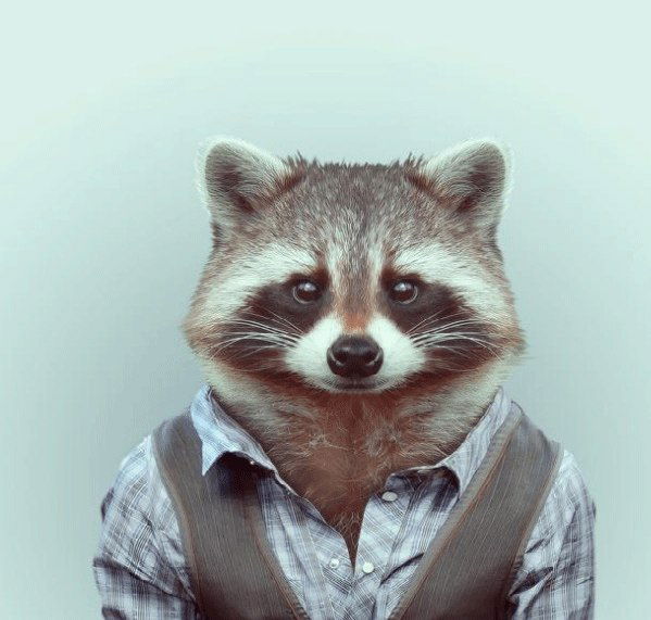 Неизвестно Неизвестно