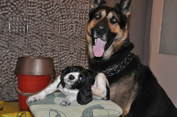 Геннадий Малков