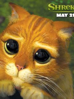 Катерина Жикина