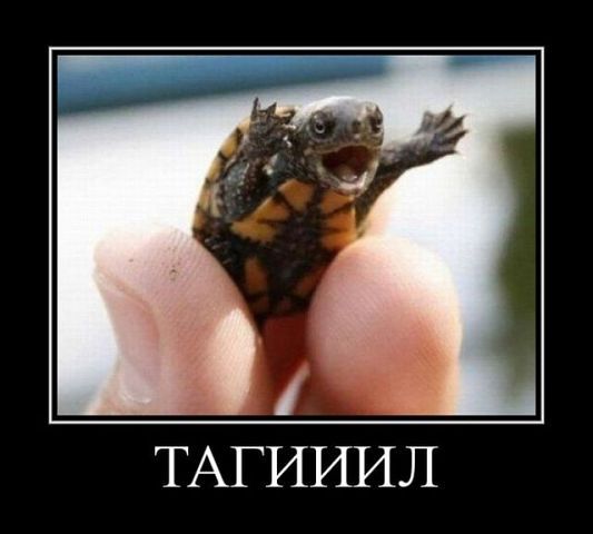 Владимир Власов