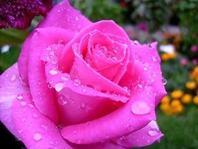 Оксана Воробьеватф