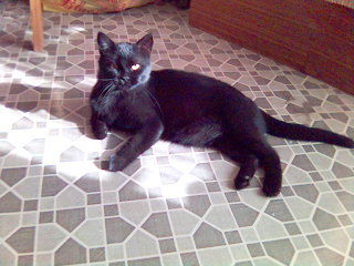 Наташа *******