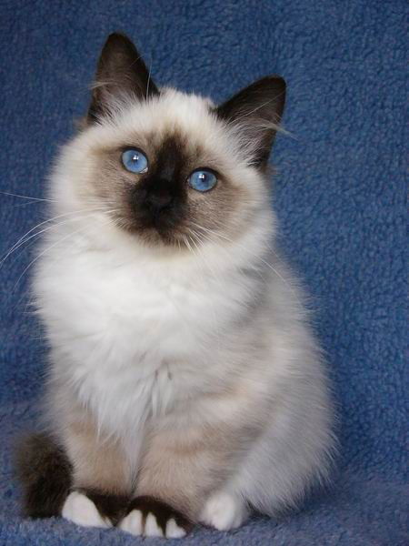 Екатерина Зуева