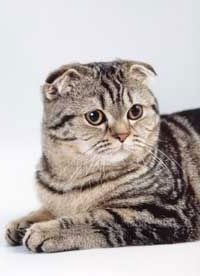 Марина Гарипова (Шиханова)