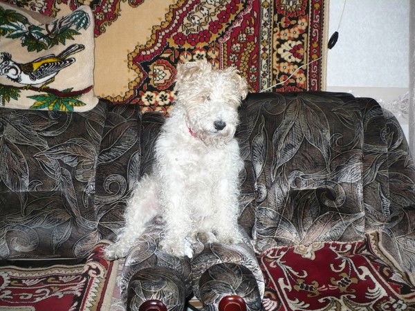 Михаил Михайлов