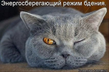 Слава Крумин