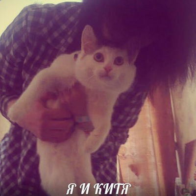 Вика Котова