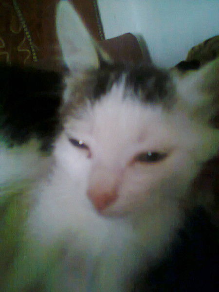 Нагима Сарсенбаева