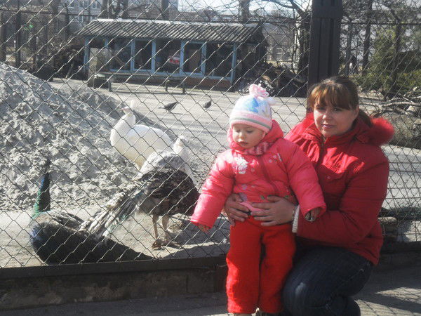 Наталья Сидоркова