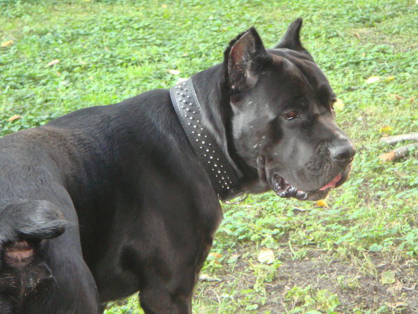 Юлия Луценко