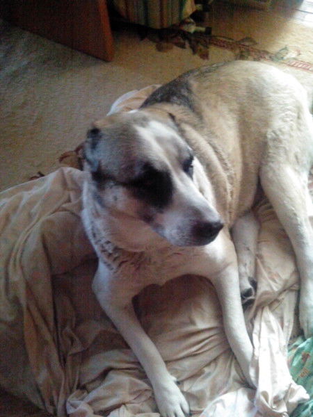 Ирина Виноградова