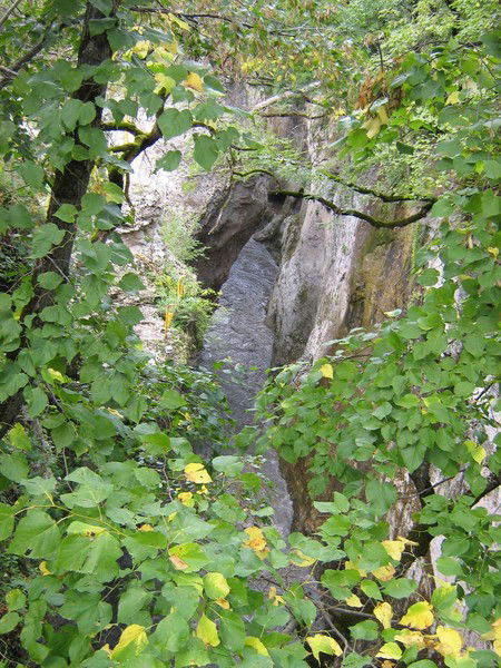 Мендыгалиева Бахтылы