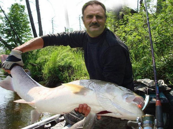 Василий Бензин