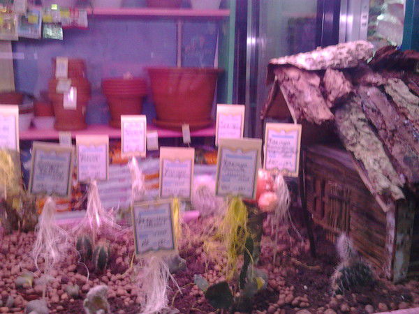 Легенда Фэо