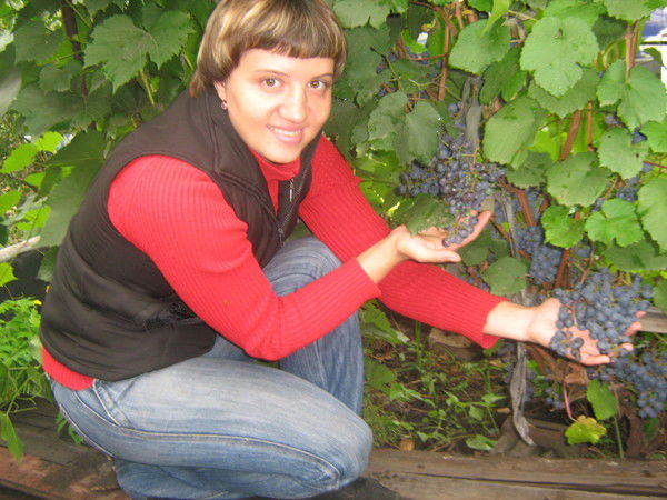 Мариша Хлудова