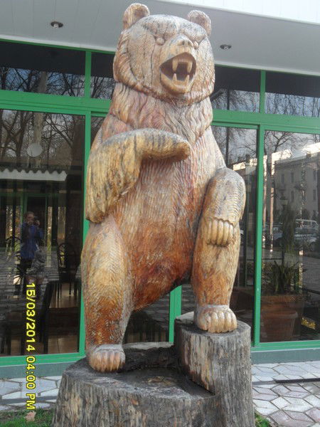 Karoleva ___________