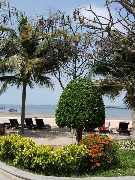 Ирина Смирнова