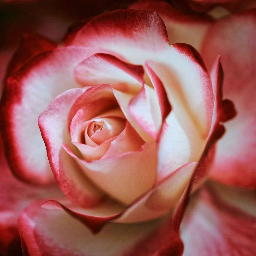 Алевтина Галиева