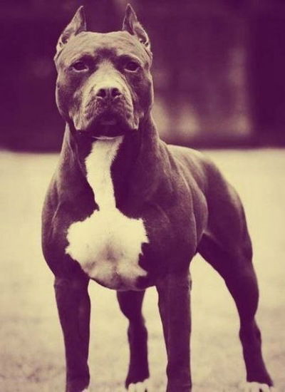 Роман Коранов