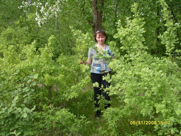 Людмила Будько