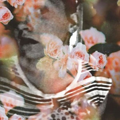 Александра Майер