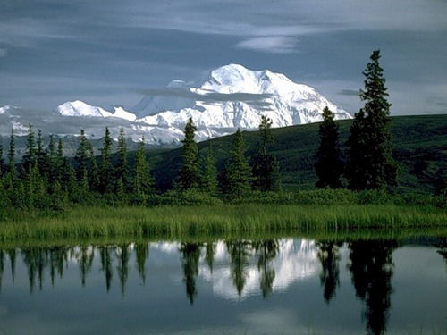 Дмитрий Парфенов