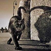 Андрей Грищенко