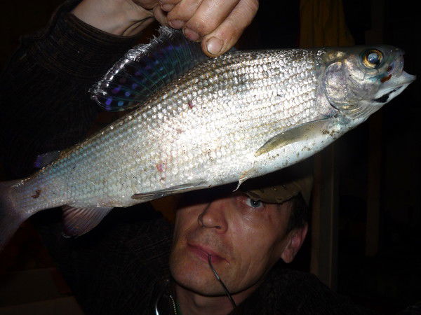 Андрей Берестов