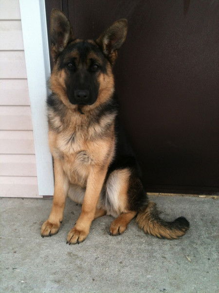 Людмила Сайганова