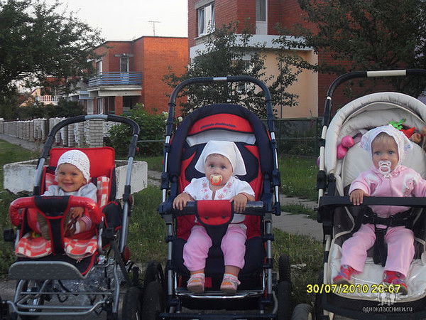 Елена Толкач