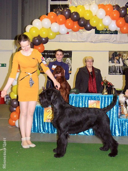 Настя Пальчикова