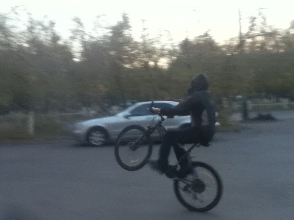 Николай Котенев