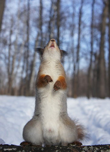 Иван Иванов