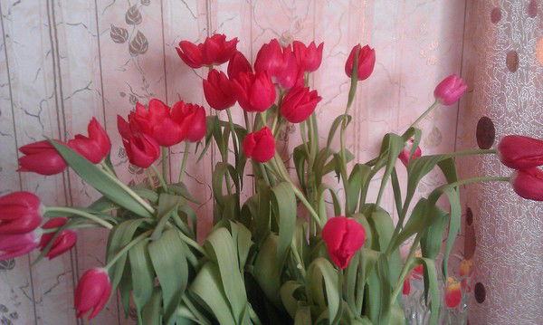 Надежда Подъячева