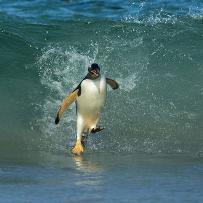 Илья Андриянов