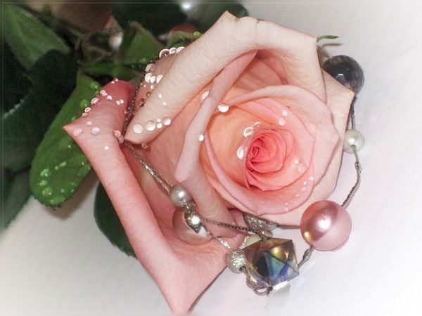 Наталья Кутлаева