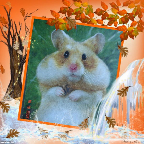 Татьяна Оленина