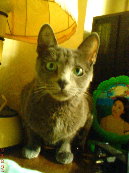 Игорь Кобзев