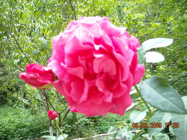 Татьяна Варенникова