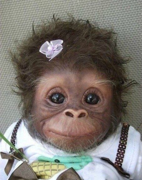 Денис Деркач