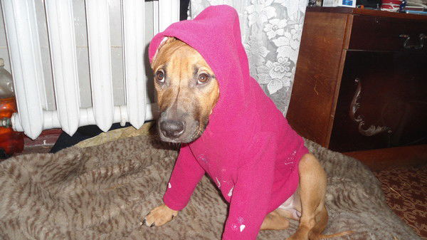 Артем Куркчидзе