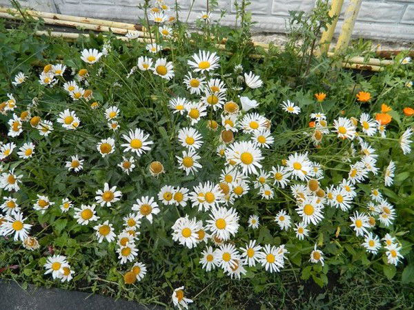 Наталья Батырева